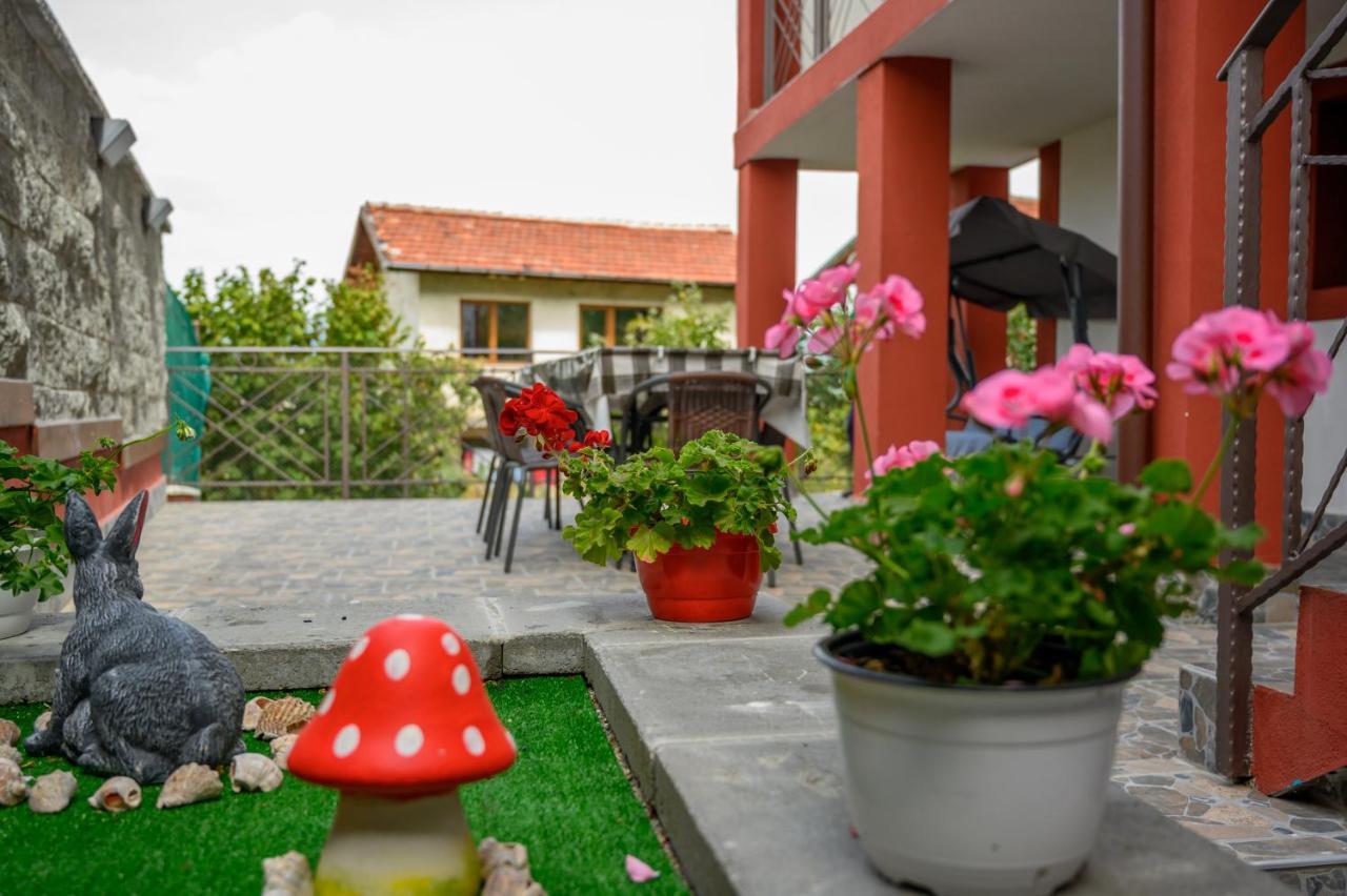 Къща За Гости „Жоро И Дани “ Villa Sapareva Banya Ngoại thất bức ảnh